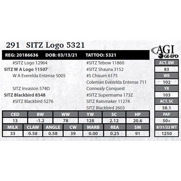 Sitz Logo 5321