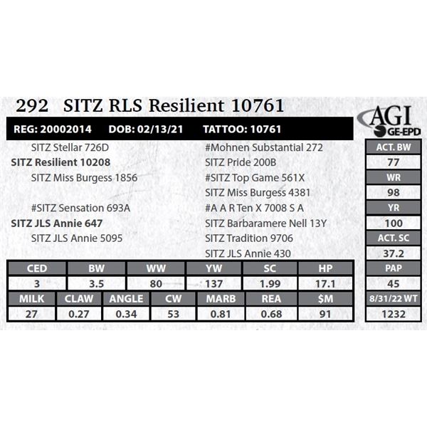 Sitz RLS Resilient 10761