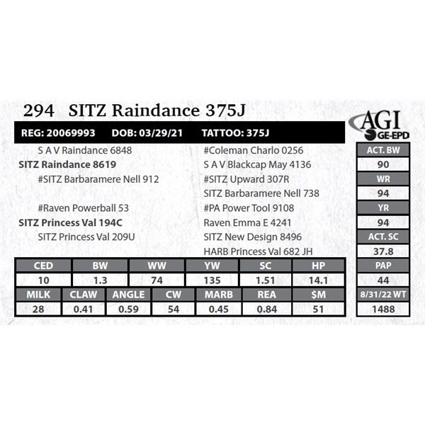 Sitz Raindance 375J
