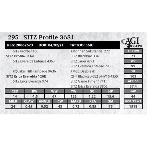 Sitz Profiles Sitz Profile 368J