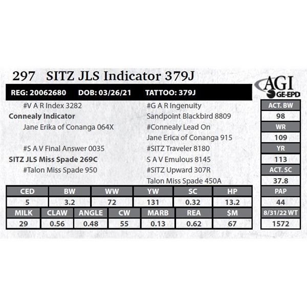 Sitz JLS Indicator 379J