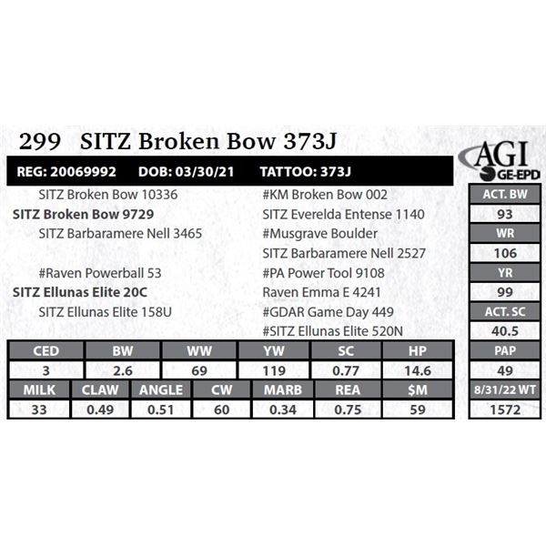Sitz Broken Bow 373J