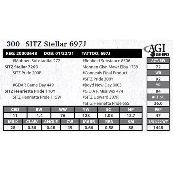 SITZ Stellar 697J