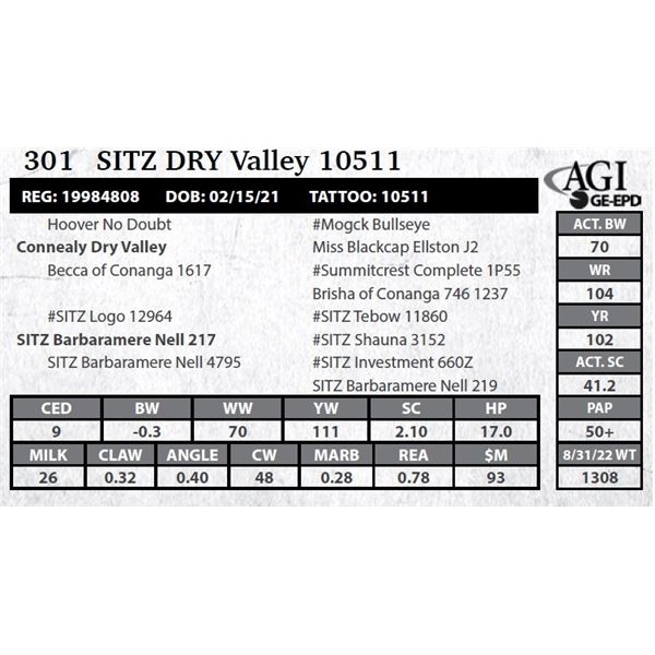 Sitz DRY Valley 10511