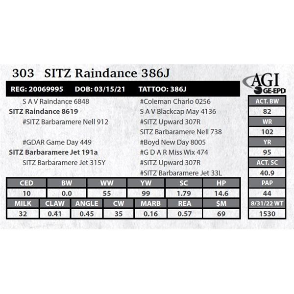 Sitz Raindance 386J