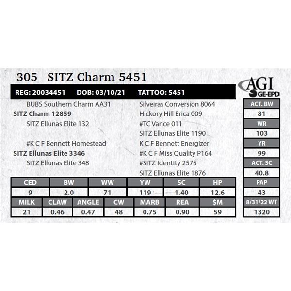 Sitz Charm 5451