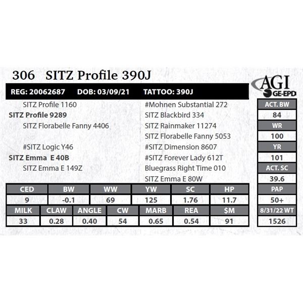 Sitz Profile 390J