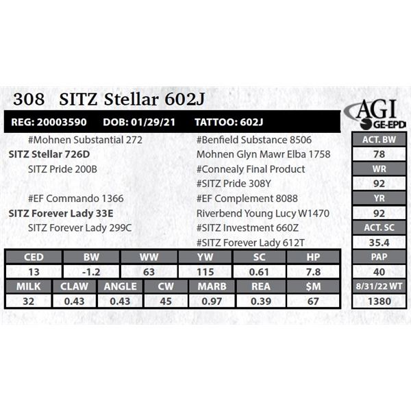 SITZ Stellar 602J