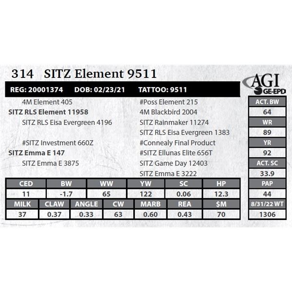 Sitz Element 9511