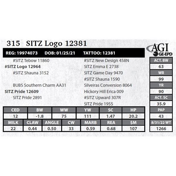 Sitz Logo 12381