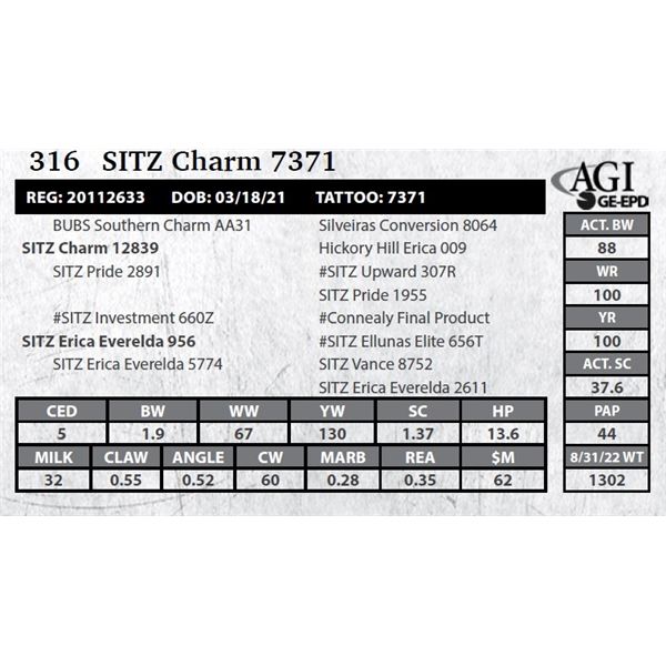 Sitz Charm 7371