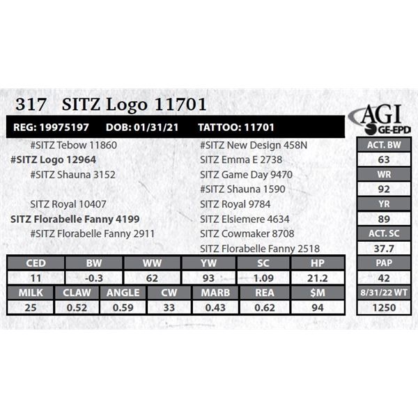 Sitz Logo 11701