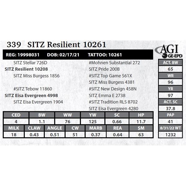Sitz Resilient 10261