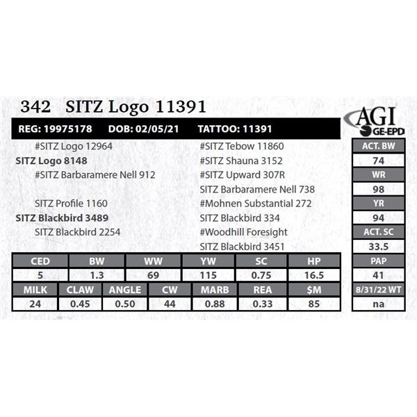 Sitz Logo 11391