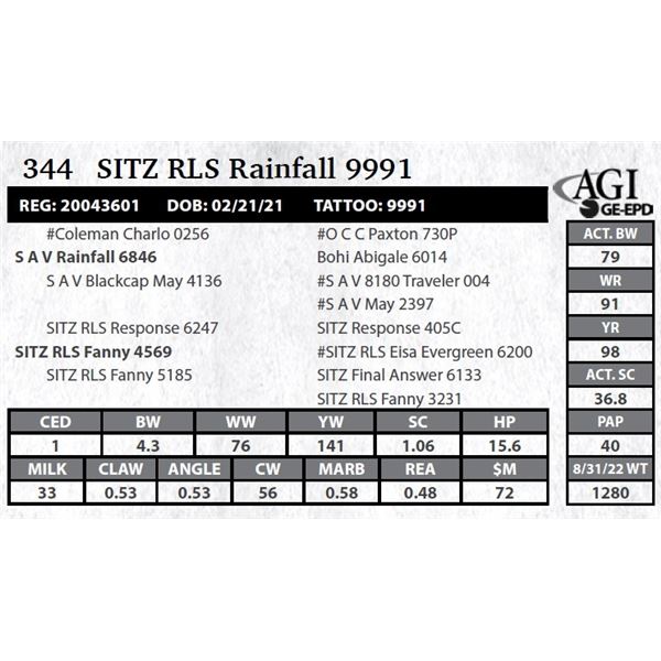 Sitz RLS Rainfall 9991