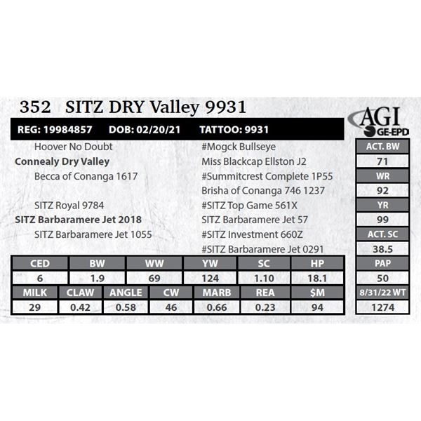 Sitz DRY Valley 9931