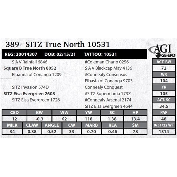 Sitz True North 10531