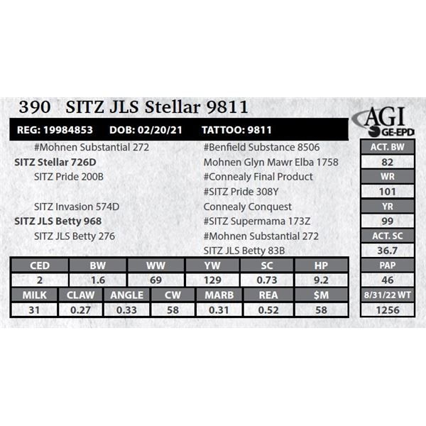 Sitz JLS Stellar 9811