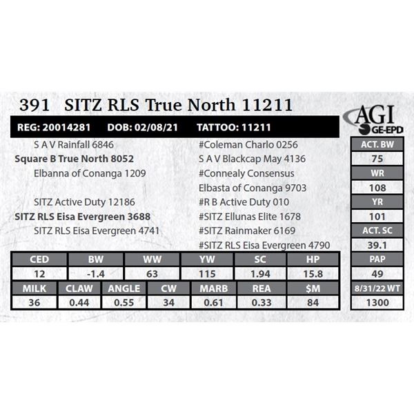 Sitz RLS True North 11211