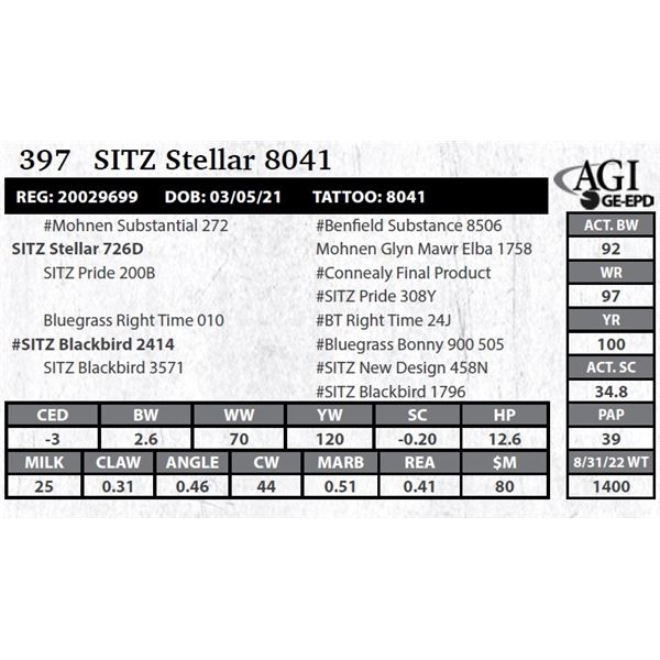 Sitz Stellar 8041