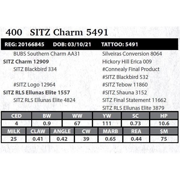 Sitz Charm 5491