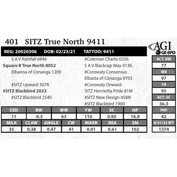 Sitz True North 9411