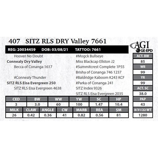 Sitz RLS DRY Valley 7661