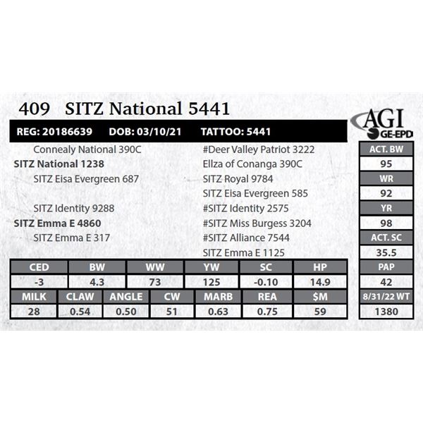 Sitz National 5441