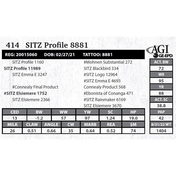 Sitz Profile 8881