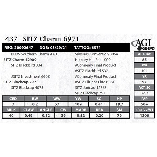 Sitz Charm 6971