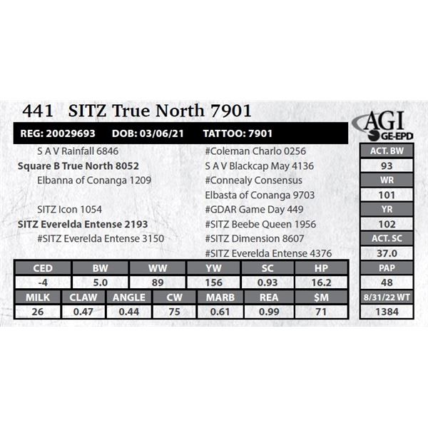 Sitz True North 7901