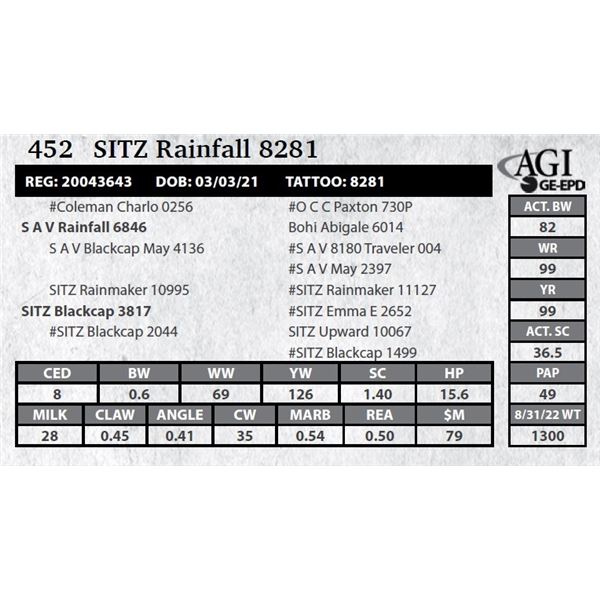 Sitz Rainfall 8281