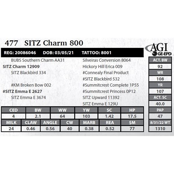 Sitz Charm 800