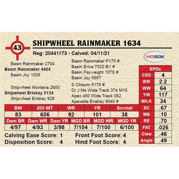 SHIPWHEEL RAINMAKER 1634