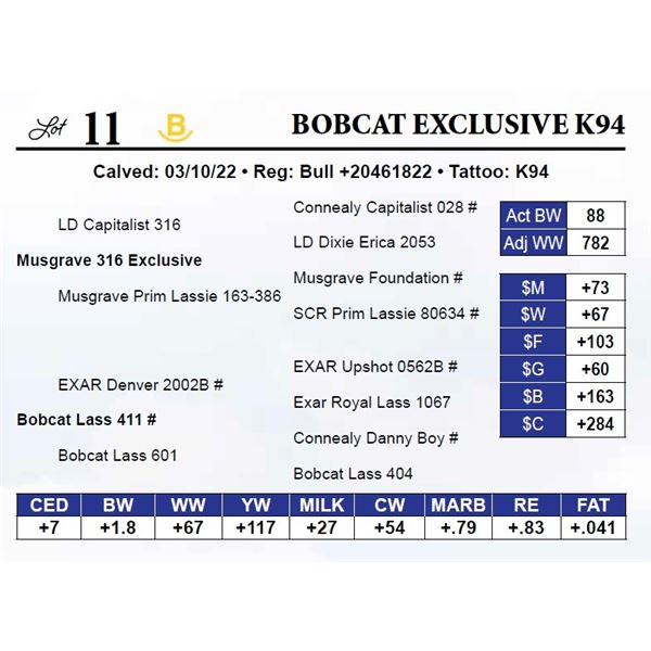 Bobcat Exclusive K94