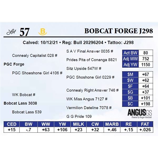 Bobcat Forge J298