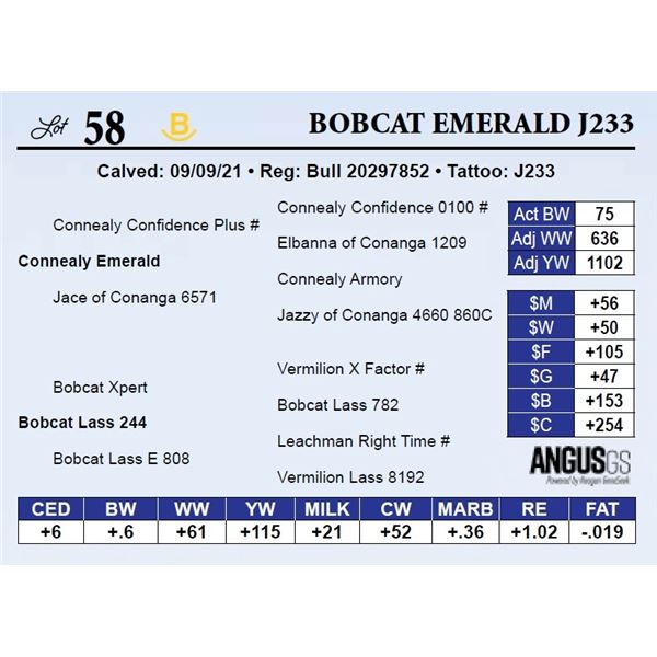 Bobcat Emerald J233