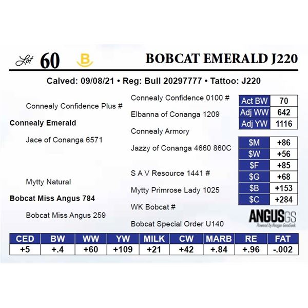 Bobcat Emerald J220