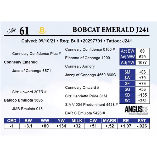 Bobcat Emerald J241