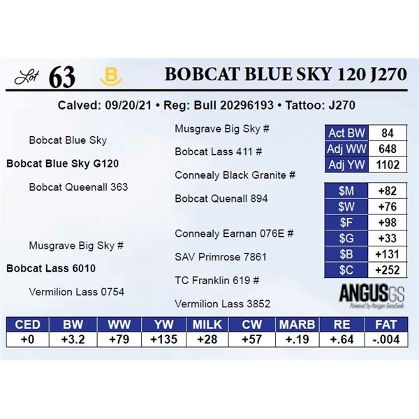 Bobcat BLue Sky 120 J270