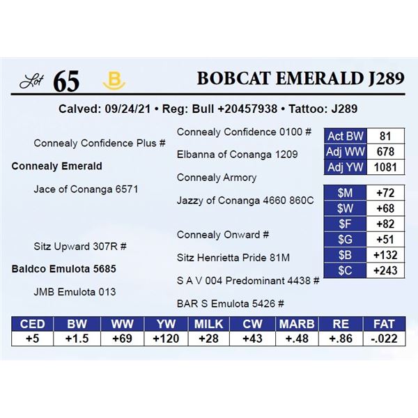 Bobcat Emerald J289