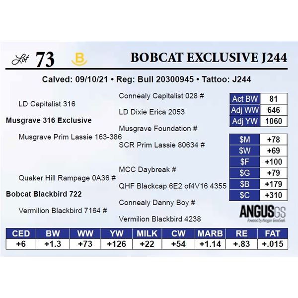 Bobcat Exclusive J244