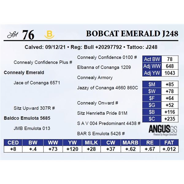 Bobcat Emerald J248