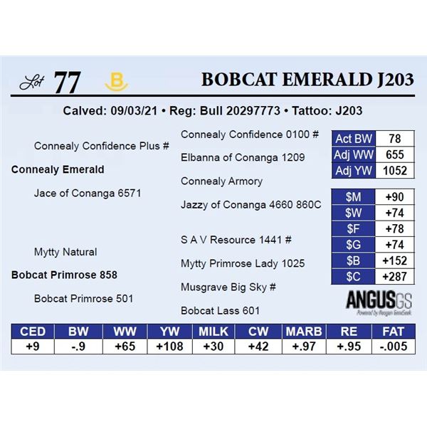 Bobcat Emerald J203