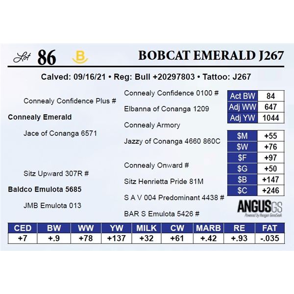 Bobcat Emerald J267