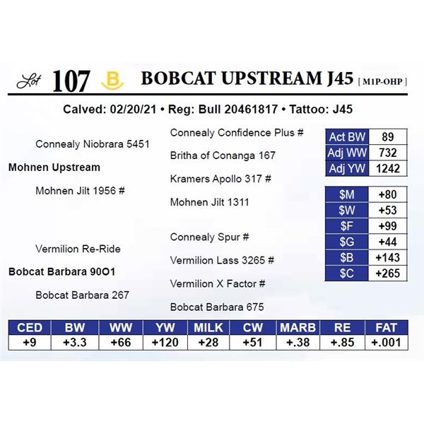 Bobcat Upstream J45