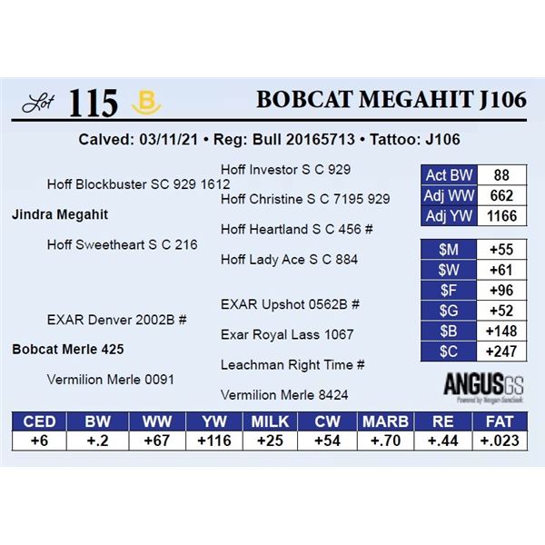 Bobcat Megahit