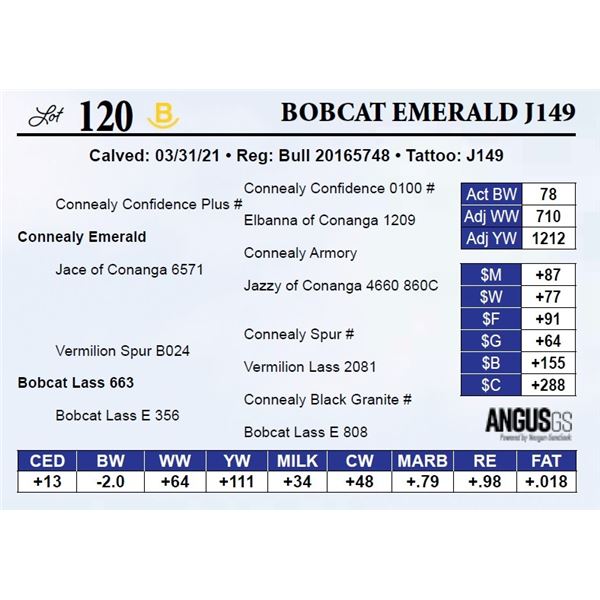 Bobcat Emerald J149