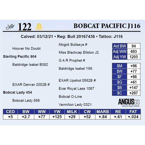 Bobcat Pacific J116