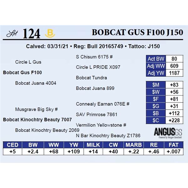 Bobcat Gus F100 J150